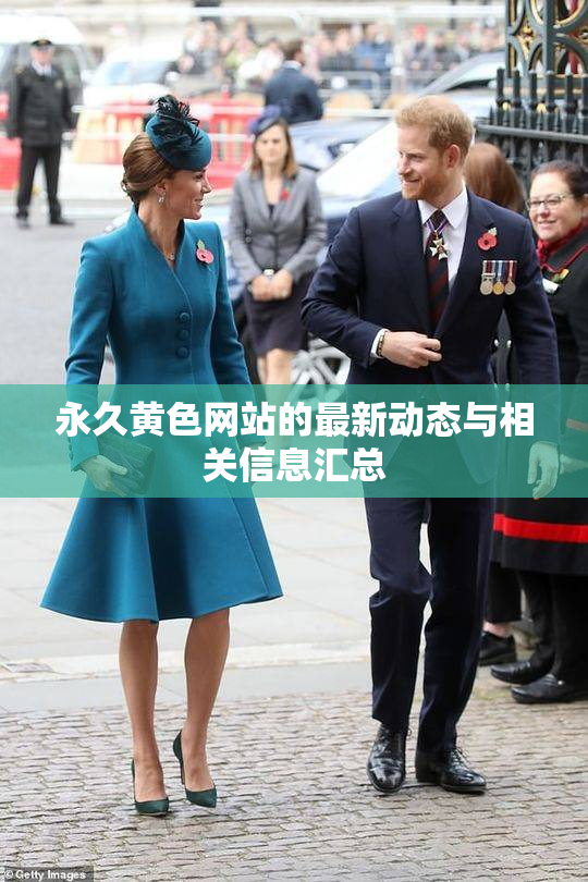 永久黄色网站的最新动态与相关信息汇总