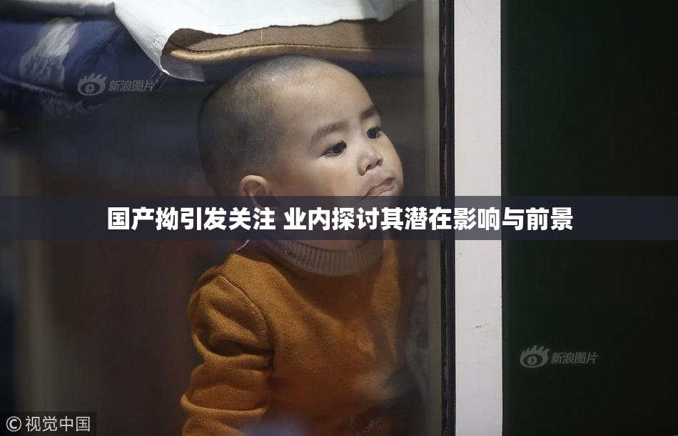 国产拗引发关注 业内探讨其潜在影响与前景