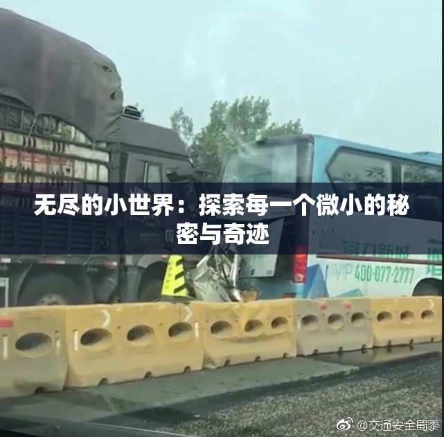 无尽的小世界：探索每一个微小的秘密与奇迹