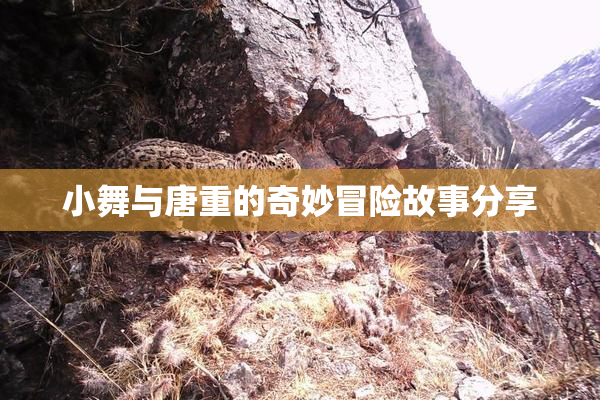 小舞与唐重的奇妙冒险故事分享