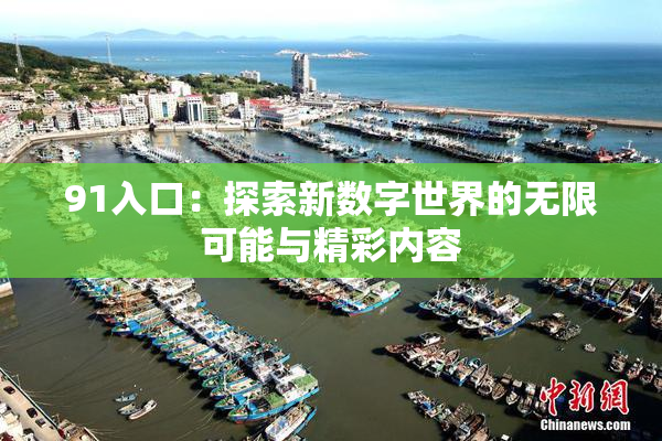 91入口：探索新数字世界的无限可能与精彩内容