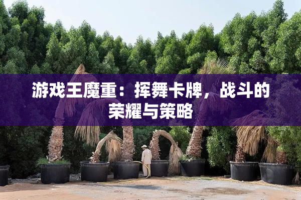 游戏王魔重：挥舞卡牌，战斗的荣耀与策略