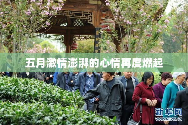 五月激情澎湃的心情再度燃起