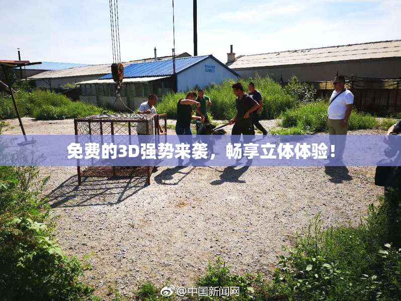 免费的3D强势来袭，畅享立体体验！