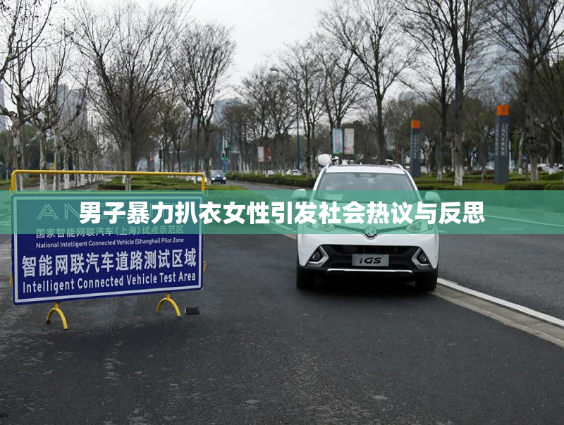 男子暴力扒衣女性引发社会热议与反思