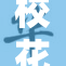 校花之美：她的故事和传奇魅力扑面而来