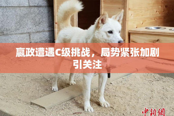 嬴政遭遇C级挑战，局势紧张加剧引关注