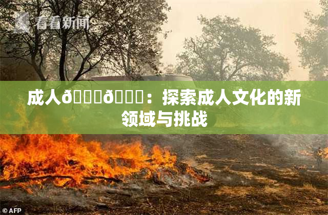 成人🍆🍑：探索成人文化的新领域与挑战