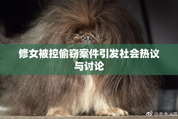 修女被控偷窃案件引发社会热议与讨论