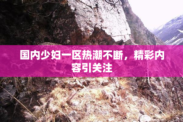 国内少妇一区热潮不断，精彩内容引关注