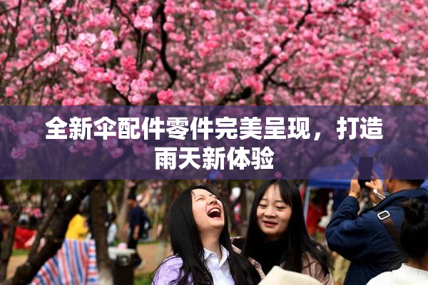 全新伞配件零件完美呈现，打造雨天新体验