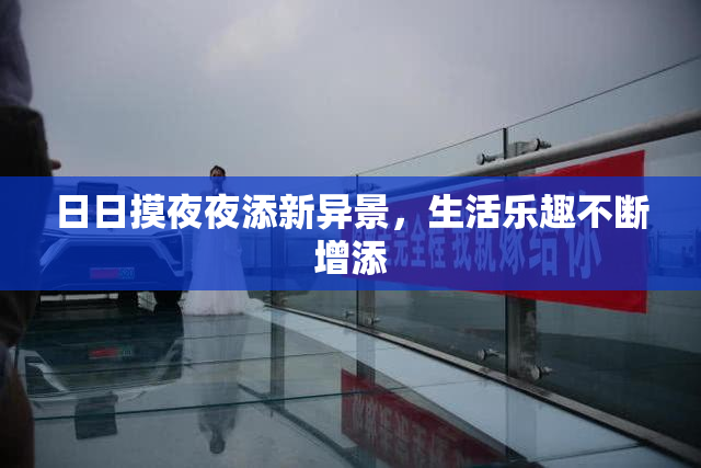 日日摸夜夜添新异景，生活乐趣不断增添
