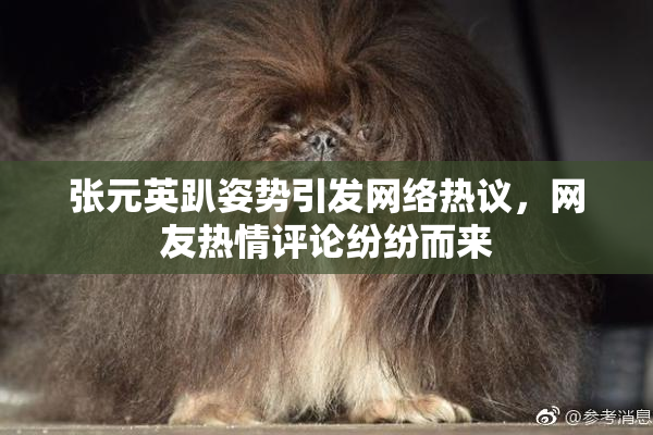 张元英趴姿势引发网络热议，网友热情评论纷纷而来