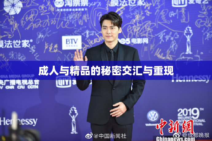 成人与精品的秘密交汇与重现