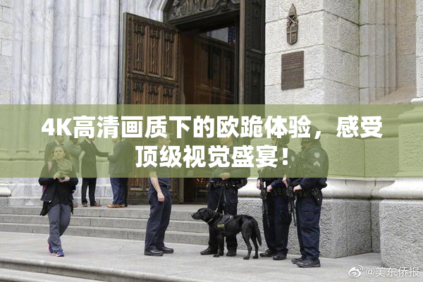 4K高清画质下的欧跪体验，感受顶级视觉盛宴！
