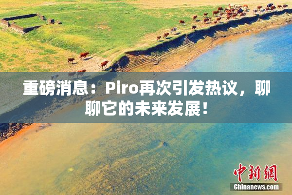重磅消息：Piro再次引发热议，聊聊它的未来发展！