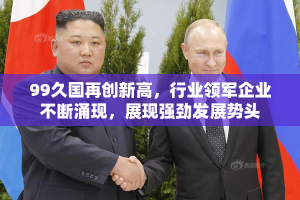 99久国再创新高，行业领军企业不断涌现，展现强劲发展势头