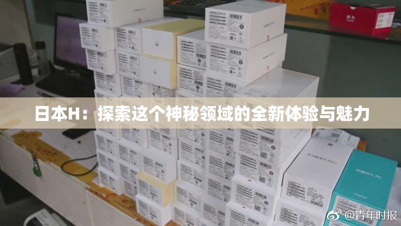 日本H：探索这个神秘领域的全新体验与魅力