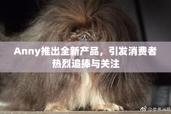 Anny推出全新产品，引发消费者热烈追捧与关注