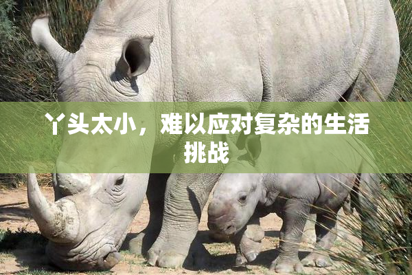 丫头太小，难以应对复杂的生活挑战