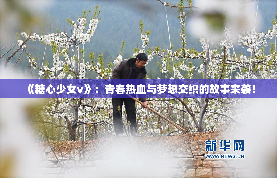 《糖心少女v》：青春热血与梦想交织的故事来袭！