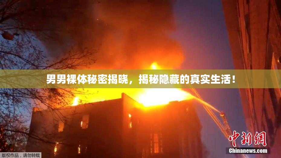 男男裸体秘密揭晓，揭秘隐藏的真实生活！