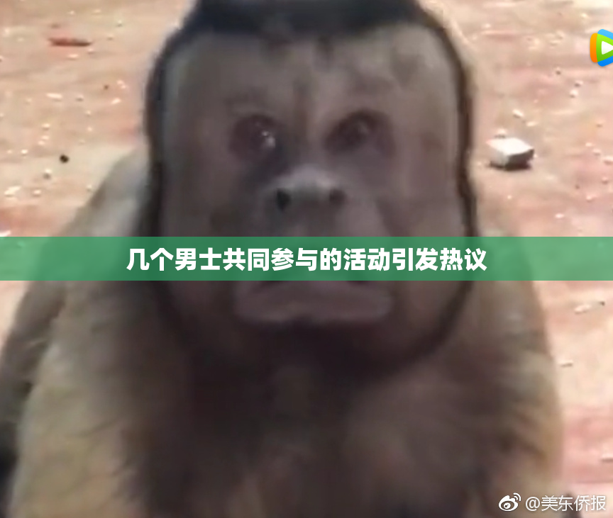 几个男士共同参与的活动引发热议