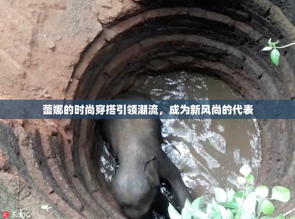 蕾娜的时尚穿搭引领潮流，成为新风尚的代表