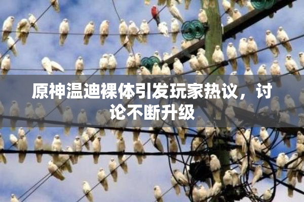 原神温迪裸体引发玩家热议，讨论不断升级