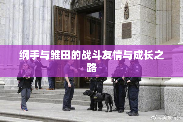 纲手与雏田的战斗友情与成长之路