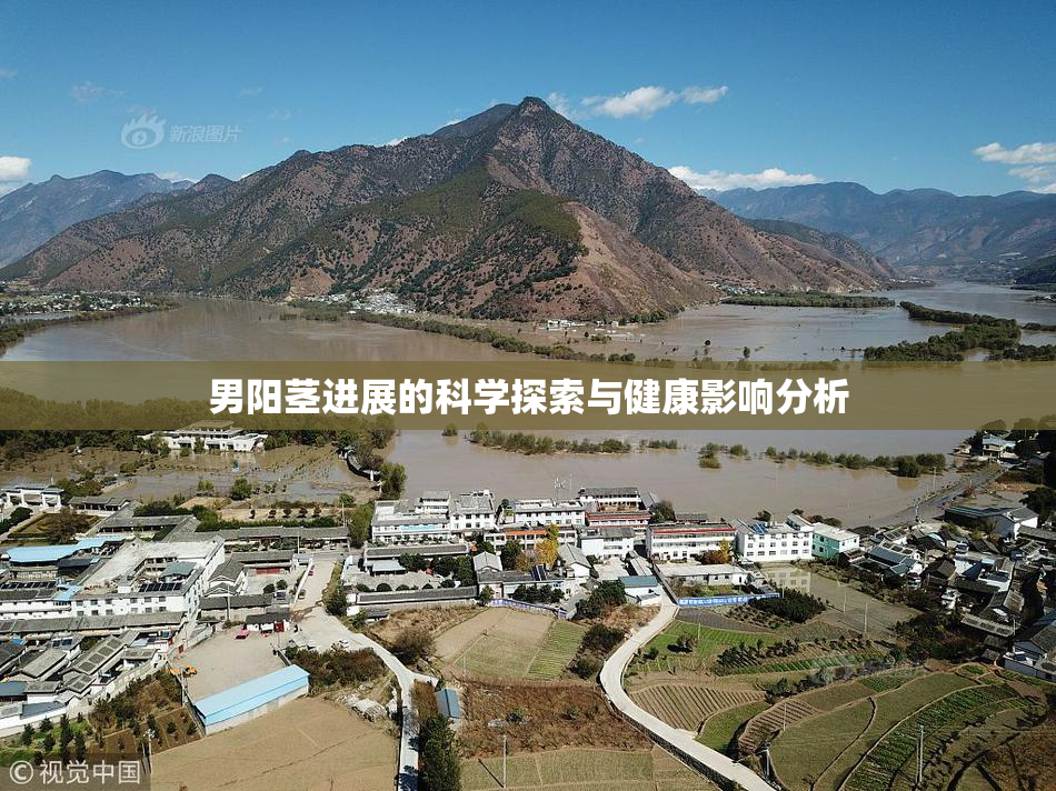 男阳茎进展的科学探索与健康影响分析
