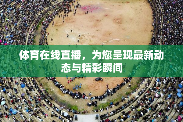 体育在线直播，为您呈现最新动态与精彩瞬间