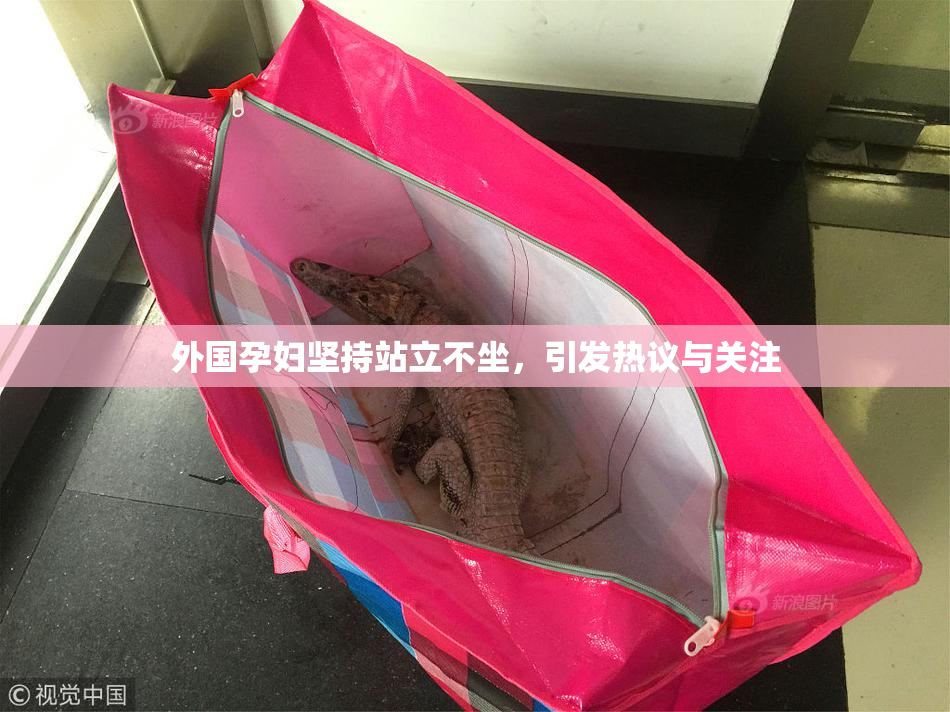 外国孕妇坚持站立不坐，引发热议与关注