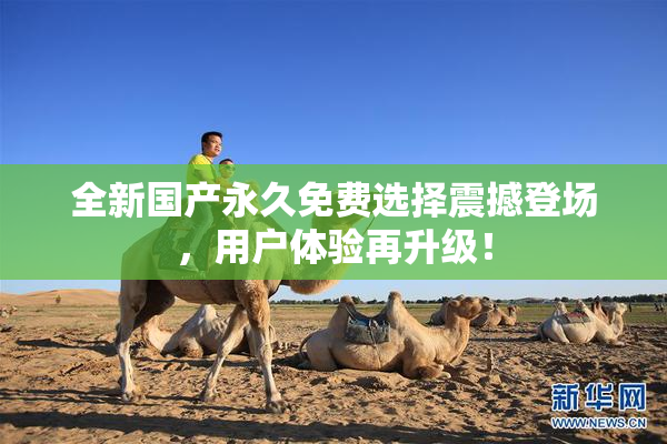 全新国产永久免费选择震撼登场，用户体验再升级！
