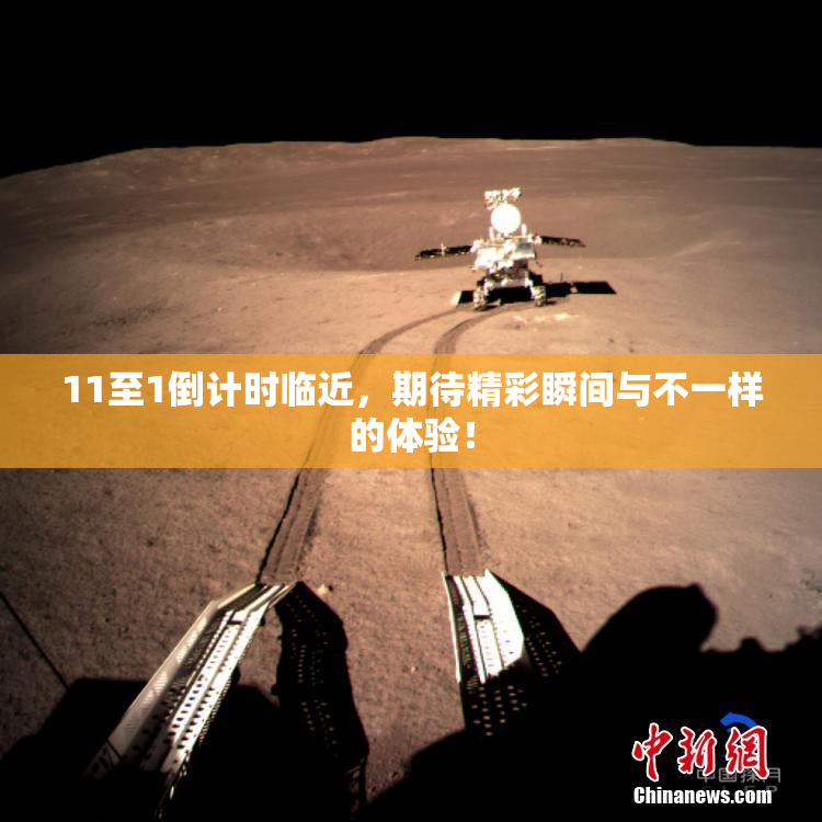 11至1倒计时临近，期待精彩瞬间与不一样的体验！