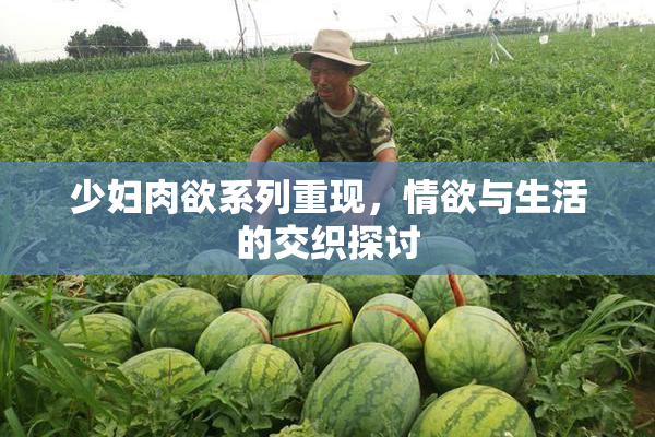 少妇肉欲系列重现，情欲与生活的交织探讨
