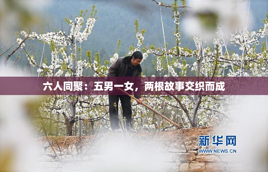 六人同聚：五男一女，两根故事交织而成