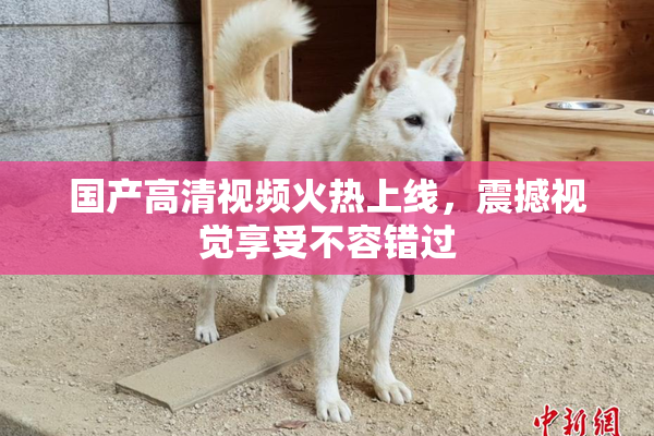国产高清视频火热上线，震撼视觉享受不容错过