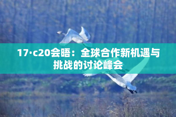 17·c20会晤：全球合作新机遇与挑战的讨论峰会