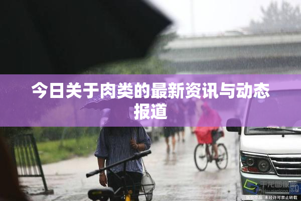 今日关于肉类的最新资讯与动态报道