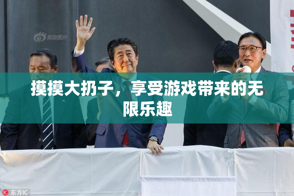 摸摸大扔子，享受游戏带来的无限乐趣