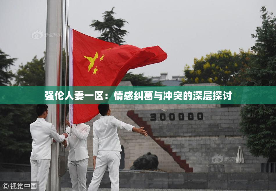 强伦人妻一区：情感纠葛与冲突的深层探讨