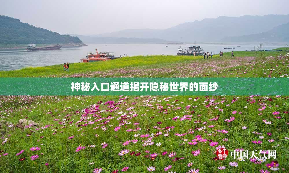 神秘入口通道揭开隐秘世界的面纱