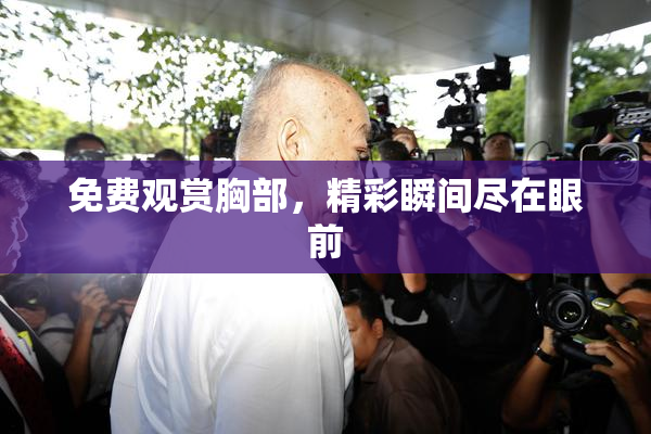 免费观赏胸部，精彩瞬间尽在眼前