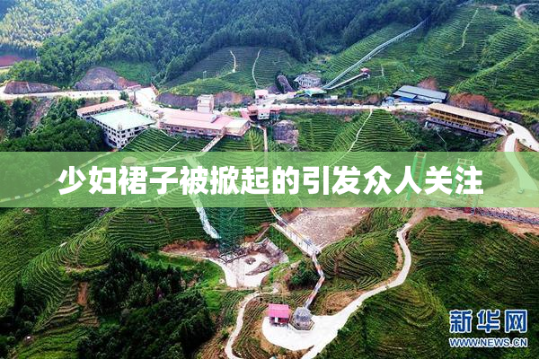 少妇裙子被掀起的引发众人关注