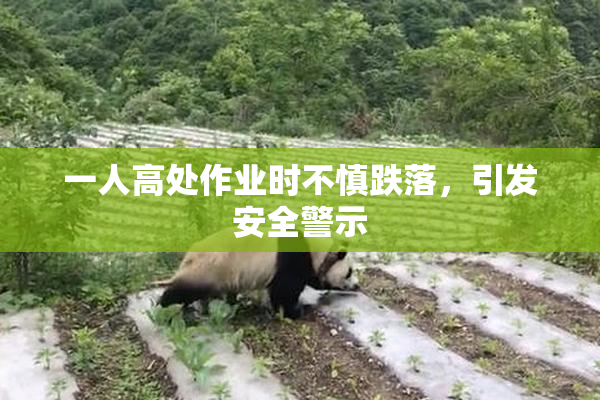 一人高处作业时不慎跌落，引发安全警示
