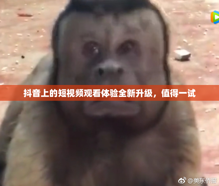 抖音上的短视频观看体验全新升级，值得一试