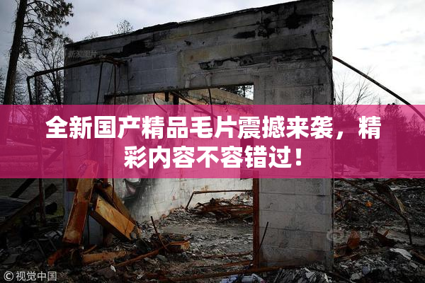 全新国产精品毛片震撼来袭，精彩内容不容错过！