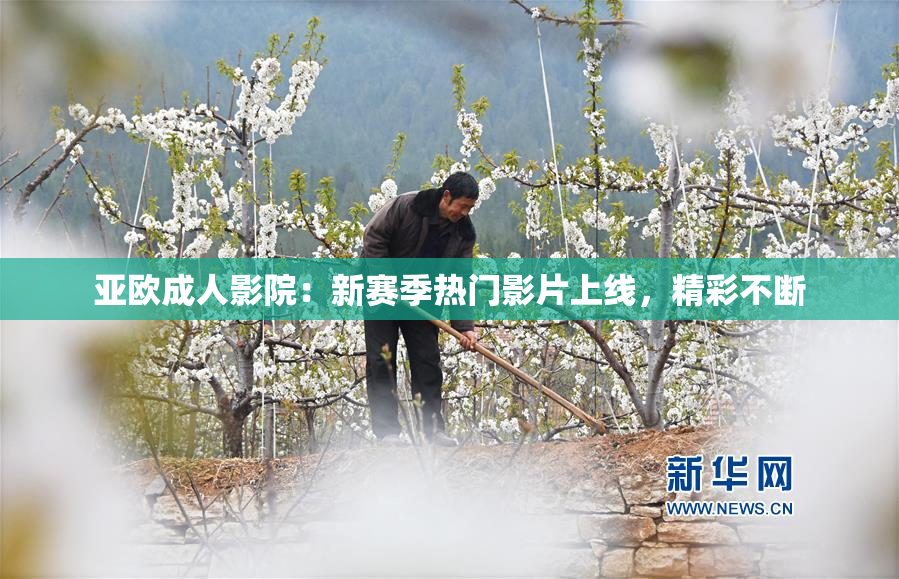 亚欧成人影院：新赛季热门影片上线，精彩不断