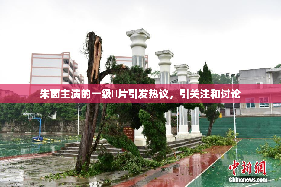朱茵主演的一级婬片引发热议，引关注和讨论